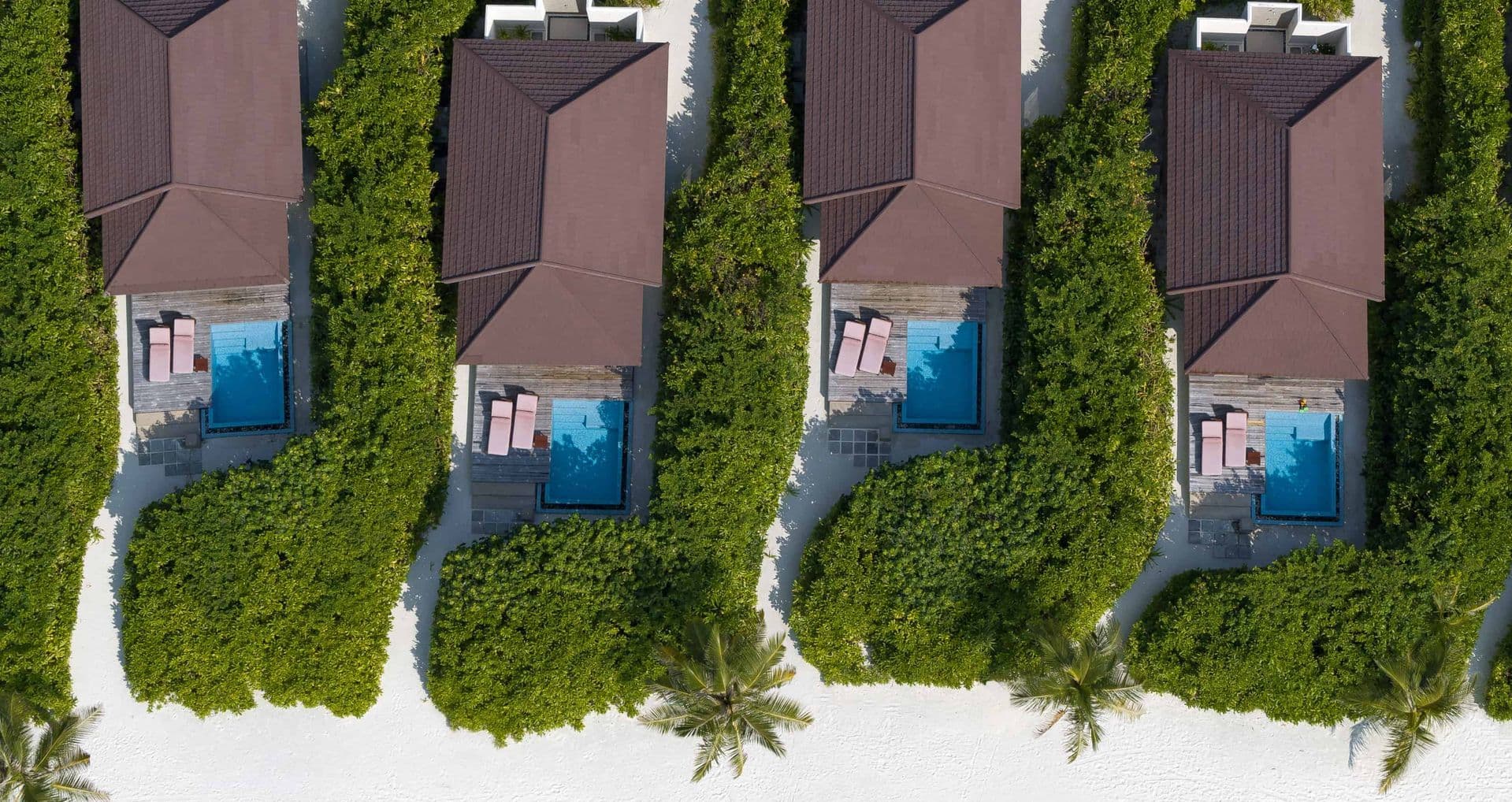 Experience luxury and serenity with our exquisite beachfront accommodations featuring private pools.