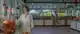 Lime & Chilli restaurant at varu by Atmosphere