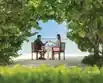 Couple relishing the premium drinks next to grand pool in one of the best Maldives resort